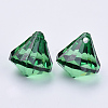 Transparent Acrylic Pendants TACR-Q260-D-V17-3