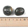 Natural Bloodstone Beads G-G348-01B-35-3