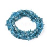 Natural Apatite Beads Strands G-F666-01A-02-2