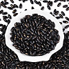 Baking Paint Glass Seed Beads SEED-N008-06J-2