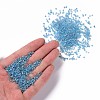 12/0 Glass Seed Beads X1-SEED-A007-2mm-163-4