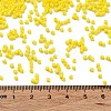 Baking Paint Glass Seed Beads SEED-S042-05B-81-4