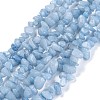 Dyed Natural Aquamarine Beads Strands G-G011-12-1