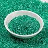 MIYUKI Round Rocailles Beads SEED-G009-RR0572-2
