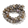 Natural Agate Beads Strands G-M437-B01-01M-3