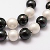 Polished Shell Pearl Bead Strands X-BSHE-F013-07C-3