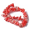 Dyed Natural Trochus Shell Beads Strands SSHEL-C013-09D-2