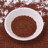 MIYUKI Delica Beads SEED-X0054-DB0794-2