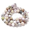 Natural African Opal Beads Strands G-K345-A03-02-3