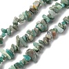 Natural Amazonite Chip Beads Strands G-M205-64-1-1