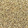 MIYUKI Delica Beads SEED-JP0008-DB0034-3