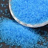 6/0 Glass Seed Beads X-SEED-J013-F6-03-1