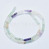 Natural Fluorite Beads Strands G-F631-D17-2