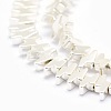 Electroplate Non-magnetic Synthetic Hematite Beads Strands G-L485-19-S-2