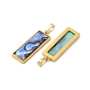 Rack Plating Natural Paua Shell Pendants KK-E059-14G-2