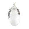 Glass Big Pendants PALLOY-JF02207-2