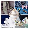 Sew on Rhinestone GLAA-N048-001B-07-4