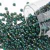 TOHO Round Seed Beads SEED-XTR08-0384-1