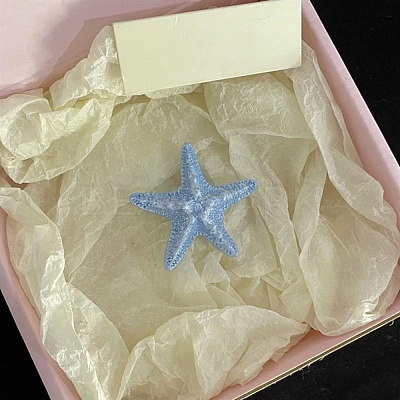 Starfish Resin Alligator Hair Clips PHAR-Z008-02A-1