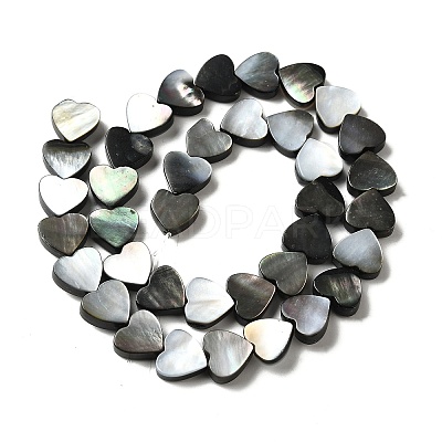 Natural Black Lip Shell Beads Strands BSHE-D300-06B-1