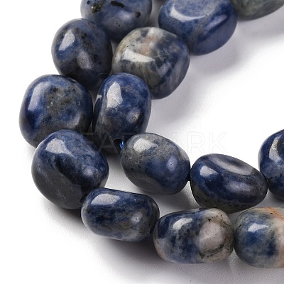 Natural Sodalite Beads Strands G-G146-A03-02-1