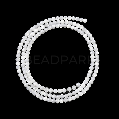 Natural White Shell Beads Strands G-A177-04-25-1