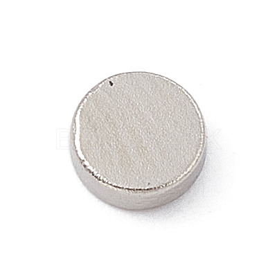 Flat Round Refrigerator Magnets LS-AJEW-F060-01A-1