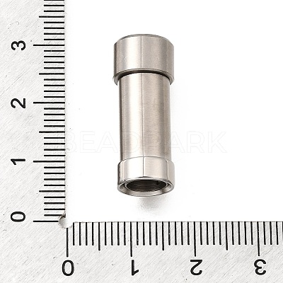 304 Stainless Steel Magnetic Clasps STAS-H263-07P-1