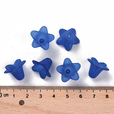 Transparent Acrylic Beads PLF018-10-1
