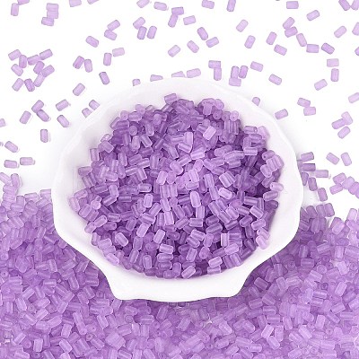 FGB Frosted Transparent Glass Seed Beads SEED-N013-05A-07-1