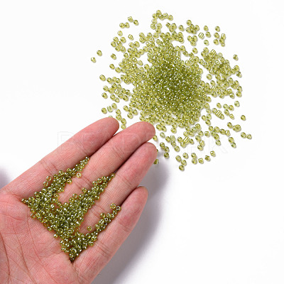 8/0 Glass Seed Beads SEED-A006-3mm-104-1