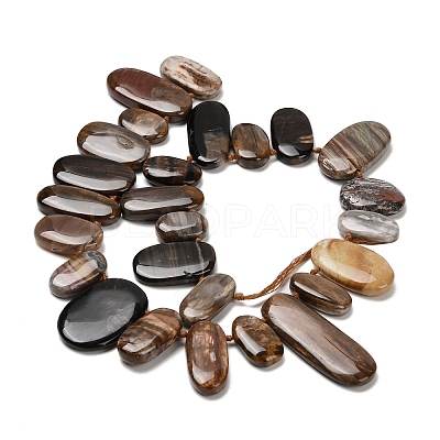 Natural Petrified Wood Beads Strands G-C253-07-1