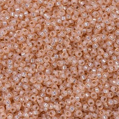 MIYUKI Round Rocailles Beads X-SEED-G007-RR0580-1