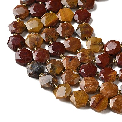 Natural Petrified Wood Beads Strands G-H344-B03-01-1