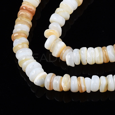 Natural Freshwater Shell Beads Strands SHEL-S278-067-1