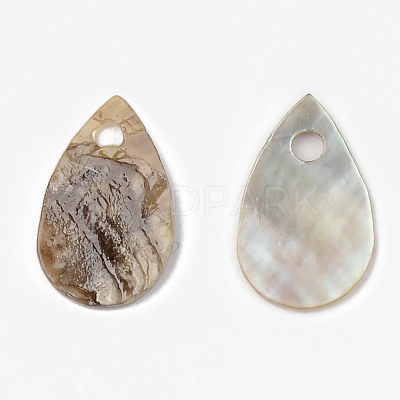 Natural Akoya Shell Charms SHEL-R048-025-1