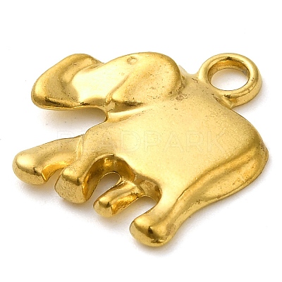 Ion Plating(IP) 304 Stainless Steel Pendants STAS-M070-29G-1