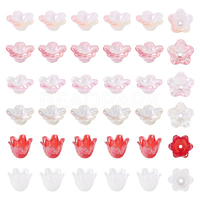 Acrylic Bead Caps OACR-TA0014-45E-1