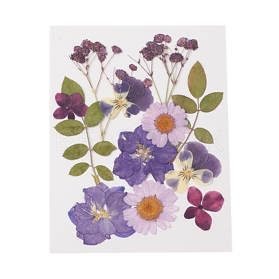 Pressed Dried Flowers DIY-YWC0001-102-1