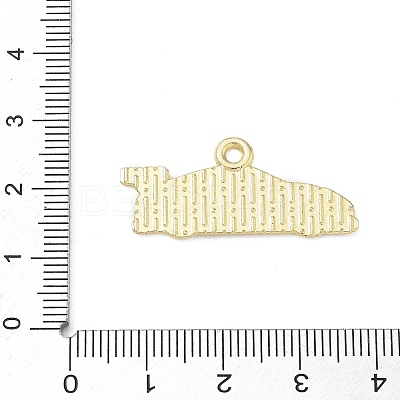 Racing Car Theme Alloy Enamel Pendants AL-CBA4666-03D-01-1