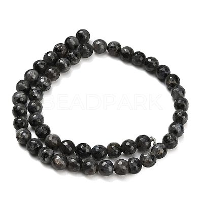 Natural Larvikite Beads Strands G-C280-B06-8mm-1