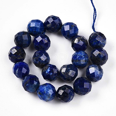 Natural Lapis Lazuli Beads Strands G-S345-10mm-24-1