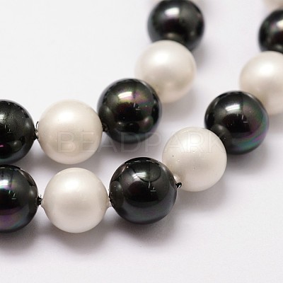 Polished Shell Pearl Bead Strands X-BSHE-F013-07C-1