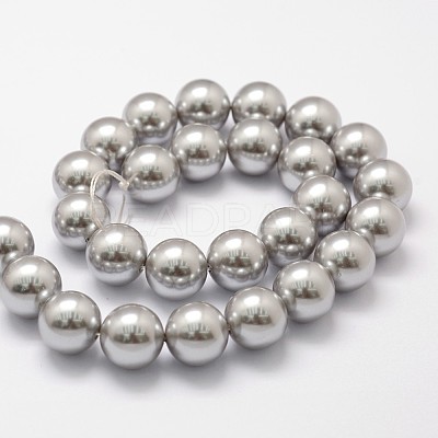 Shell Pearl Beads Strands X-BSHE-L026-05-10mm-1