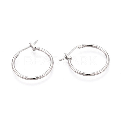 304 Stainless Steel Hoop Earrings EJEW-T048-25B-P-1