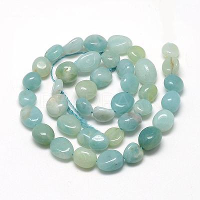 Natural Amazonite Beads Strands G-R445-8x10-21-1