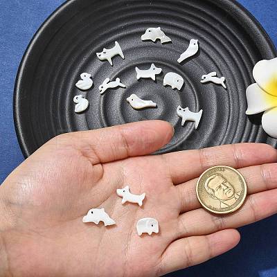 14Pcs 7 Styles Animal Theme Natural White Shell Beads Sets FIND-CJ0004-74-1