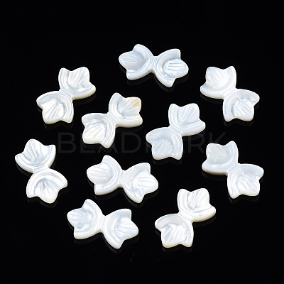 Natural White Shell Beads SSHEL-S258-105A-1