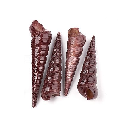 Natural Spiral Shell Beads X-SSHEL-Q307-02A-1
