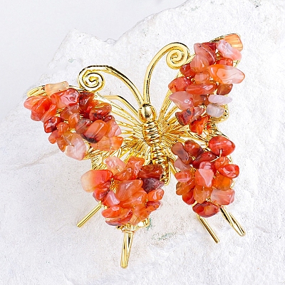 Raw Natural Carnelian Chip Mineral Specimen Display Decorations PW-WG29201-17-1